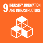 SDG Logo (9)